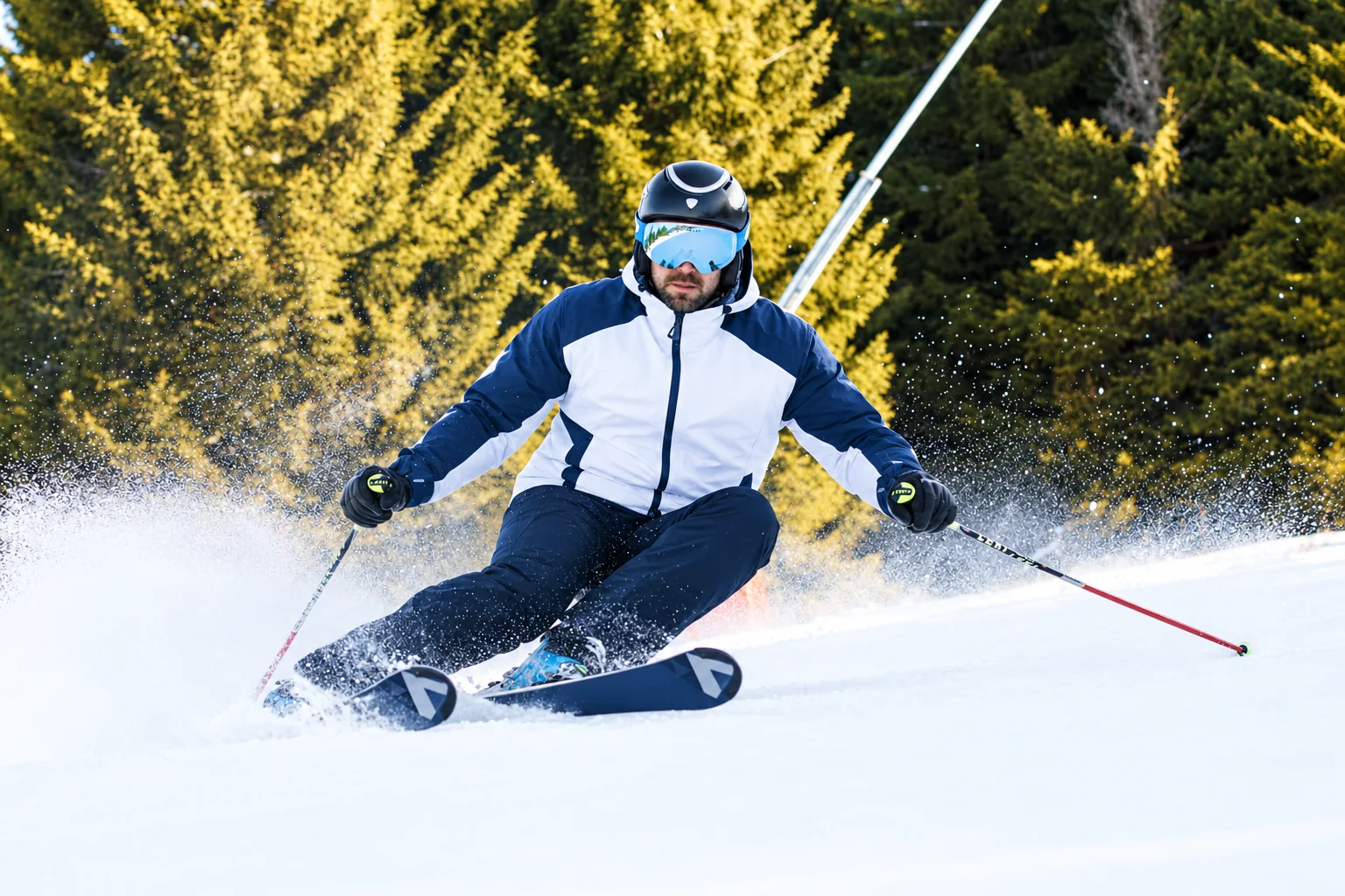 Skiing through the forest edge
